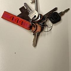 Claus, segons ha informat Gemeente Hilversum mitjançant iLost