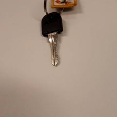 مفتاح الدراجة، كما تم الإبلاغ عنه بواسطة Zuyderland MC Sittard-Geleen عبر iLost