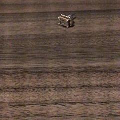 Orecchino Zilver, come riportato da Van der Valk Hotel Zwolle utilizzando iLost