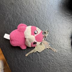 Keys. Sleutel، كما تم الإبلاغ عنه عبر iLost