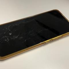 Xiaomi blauw, a été signalé par Gemeente Haarlem utilisant iLost