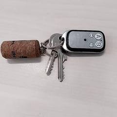 Nøkler Kurk, som rapportert av Arriva Limburg Zuid ved bruk av iLost