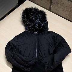 Jacka, rapporterat av Arriva Oost-Brabant med iLost