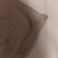 Mazlící hračka, jak nahlášeno De Efteling pomocí iLost