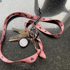 Sleutels, jak bylo nahlášeno na iLost