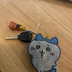 Chave da bicicleta Kat en een capibara, segundo informou Gemeente Alkmaar usando iLost
