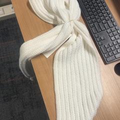 Sjal Wit, rapporterat av Connexxion Amstelland-Meerlanden Schiphol Noord med iLost