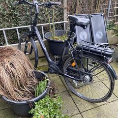 Fiets, amint azt az iLostnak jelentették.