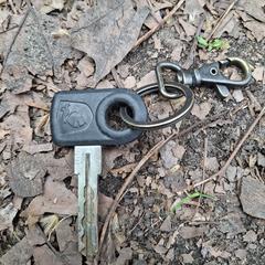 Key with keyring, som rapportert til iLost