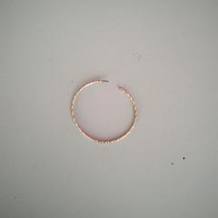 귀걸이, iLost를 사용하여 Twisto에 보고됨