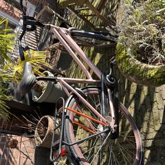Roze batavus fiets, ako bolo nahlásené iLost
