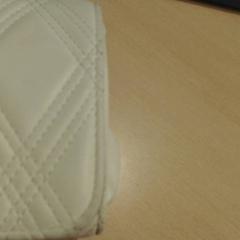 Taška, jak nahlášeno Walibi Holland pomocí iLost