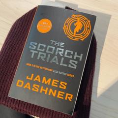 Buch, gemeldet von Pathé Tilburg Stappegoor über iLost