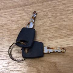 Fahrradschlüssel, gemeldet von Gemeente Alkmaar über iLost