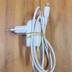 iPhone charger, as reported by Bolognalaan 101 using iLost