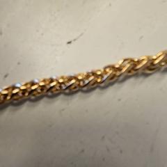 Collaret, segons ha informat GVB mitjançant iLost