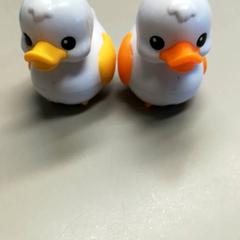 Spielzeug Eendjes, gemeldet von Burgers' Zoo über iLost