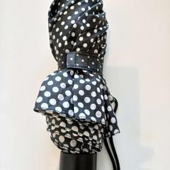 Regenschirm, gemeldet von Arriva Limburg Zuid über iLost