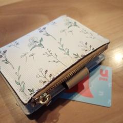 Dames Portemonnee met bloemen がiLostに報告されました