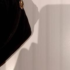 Bossa, segons ha informat De Efteling mitjançant iLost