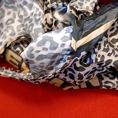 Poltsa, gisa salatu by Syntus Provincie Utrecht iLost erabiliz