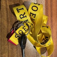 Chave zwart, como reportado por Gemeente Heemstede utilizando o iLost