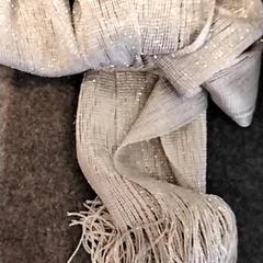 شال Zilverkleurig، كما تم الإبلاغ عنه بواسطة Gemeente Puurs-Sint-Amands عبر iLost