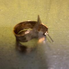 Ringe, gemeldet von Fenix über iLost