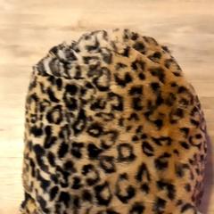 Tas، كما تم الإبلاغ عنه بواسطة Arriva Limburg Noord عبر iLost