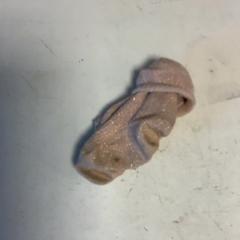 Chaussettes, a été signalé par Artis utilisant iLost