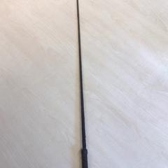 Paardenzweep zweep, rapporterat av Gemeente Nijmegen med iLost