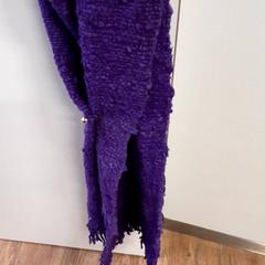 Scialle paars, come riportato da Qbuzz ZHN utilizzando iLost