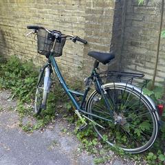 Damesfiets, som rapporterats till iLost