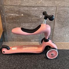 Loopfietsje, come riportato a iLost