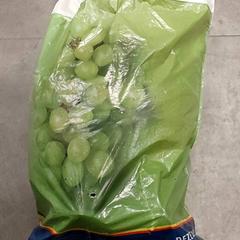 Taška - Plastiek tas, jak nahlášeno Regio Oost-Vlaanderen pomocí iLost