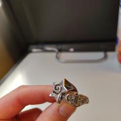 Twee zilveren ringen, as reported to iLost