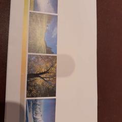 Pochette Photos, come riportato da TCL utilizzando iLost