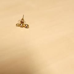 Örhänge, rapporterat av Mövenpick Hotel Amsterdam City Centre med iLost