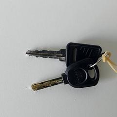 열쇠, iLost를 사용하여 Centraal magazijn에 보고됨