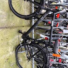 Gizonezkoen bizikleta herenfiets Giant, gisa salatu by Stadswerk072 iLost erabiliz