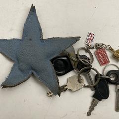 Sleutelbos, amint azt az iLostnak jelentették.