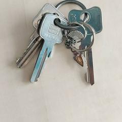 Sleutel, zoals gemeld door Blauwnet Zwolle met iLost