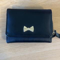 Carteira, como reportado por Keukenhof utilizando o iLost