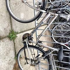 Dámské kolo batavus, jak nahlášeno Stadswerk072 pomocí iLost