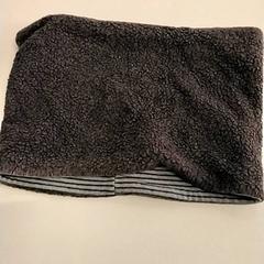 Sjaalkraag, segundo informou Gemeente Puurs-Sint-Amands usando iLost