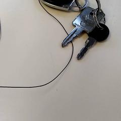 Claus, segons ha informat Bobbejaanland mitjançant iLost