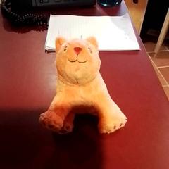 Knuffel, segons ha informat Apenheul mitjançant iLost