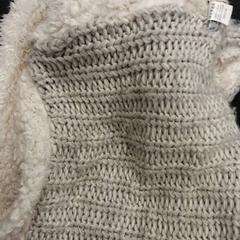 Colsjaal Wit licht grijs, zoals gemeld door Arriva Vechtdallijnen met iLost