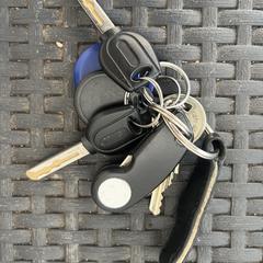 Sleutel sleutels keys, ha sido reportado a iLost