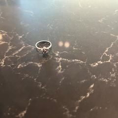 Anillo, ha sido reportado por Van der Valk Hotel Veenendaal con iLost